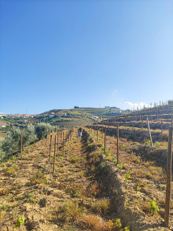 Quinta Dos Padrinhos - Suites In The Heart Of The Douro Lamego Luaran gambar