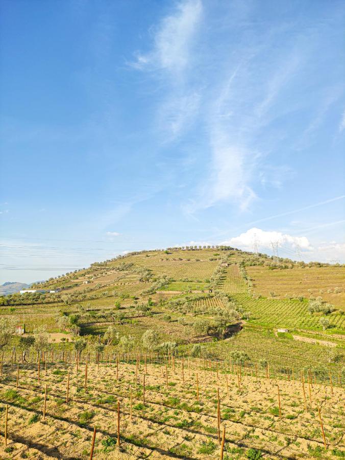 Quinta Dos Padrinhos - Suites In The Heart Of The Douro Lamego Luaran gambar