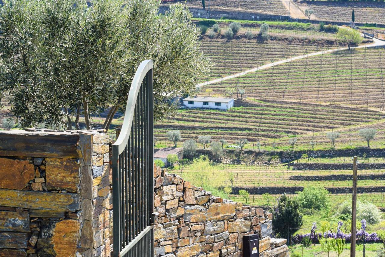 Quinta Dos Padrinhos - Suites In The Heart Of The Douro Lamego Luaran gambar