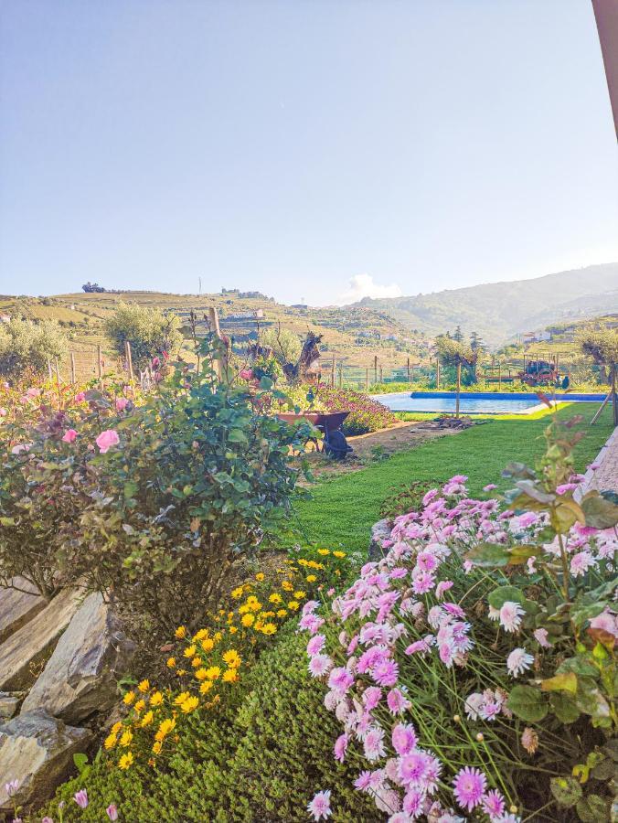 Quinta Dos Padrinhos - Suites In The Heart Of The Douro Lamego Luaran gambar