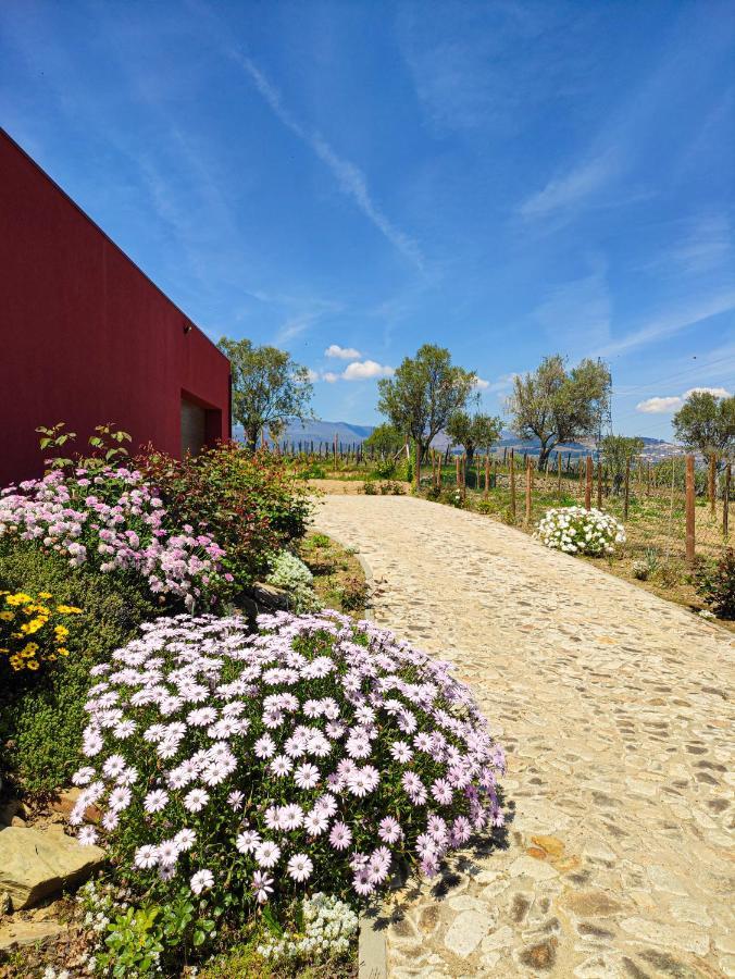 Quinta Dos Padrinhos - Suites In The Heart Of The Douro Lamego Luaran gambar