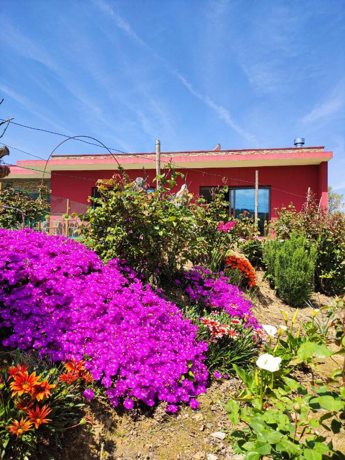 Quinta Dos Padrinhos - Suites In The Heart Of The Douro Lamego Luaran gambar