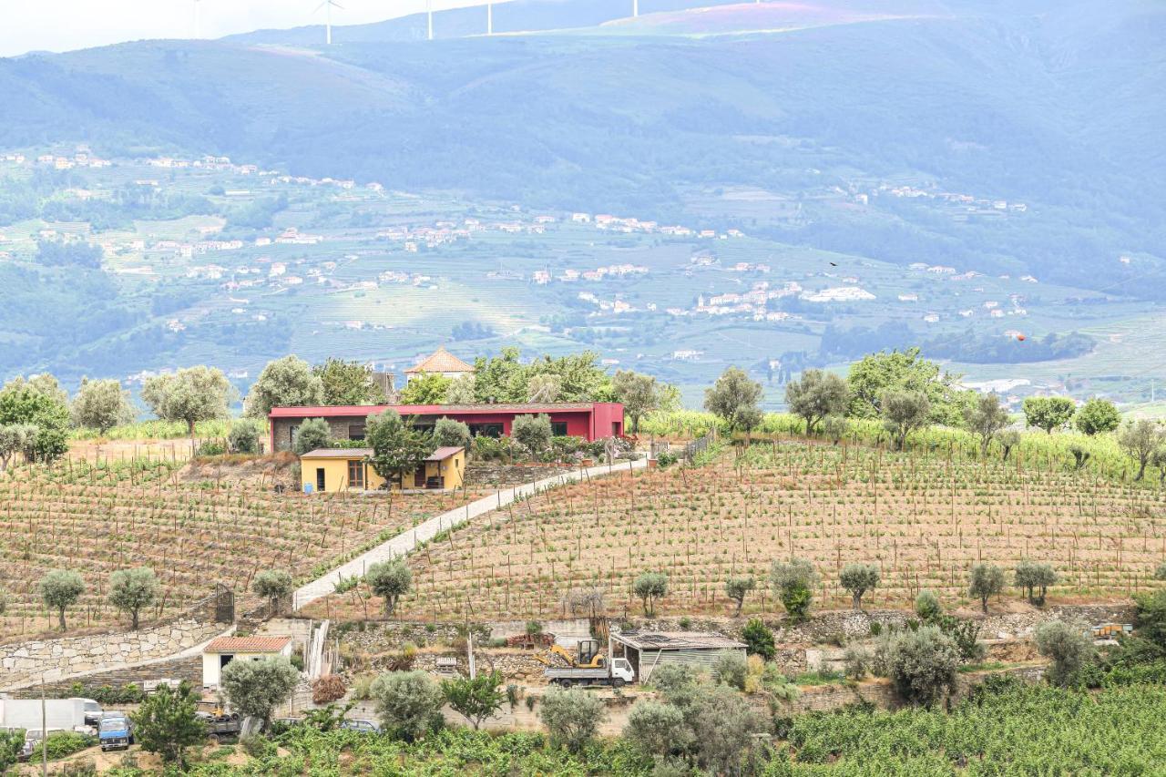 Quinta Dos Padrinhos - Suites In The Heart Of The Douro Lamego Luaran gambar