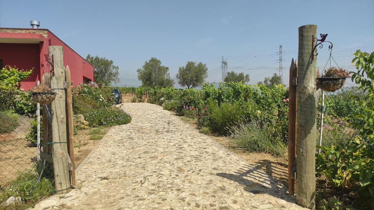 Quinta Dos Padrinhos - Suites In The Heart Of The Douro Lamego Luaran gambar