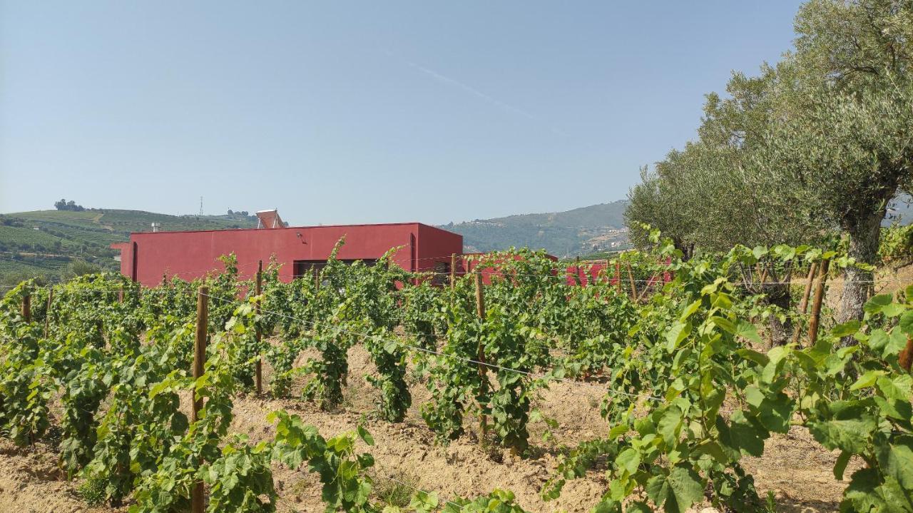 Quinta Dos Padrinhos - Suites In The Heart Of The Douro Lamego Luaran gambar