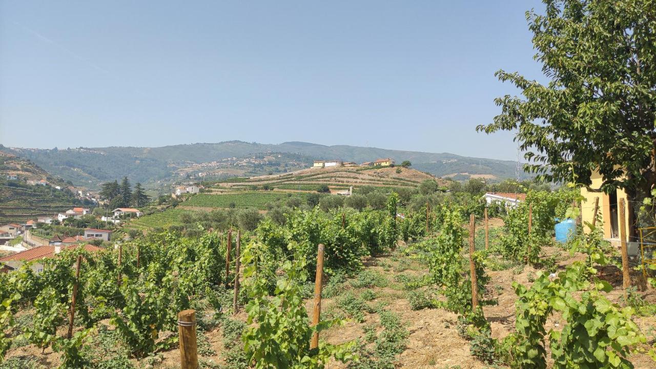 Quinta Dos Padrinhos - Suites In The Heart Of The Douro Lamego Luaran gambar