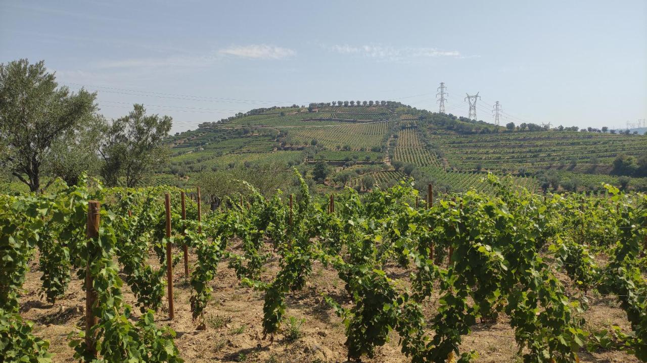 Quinta Dos Padrinhos - Suites In The Heart Of The Douro Lamego Luaran gambar