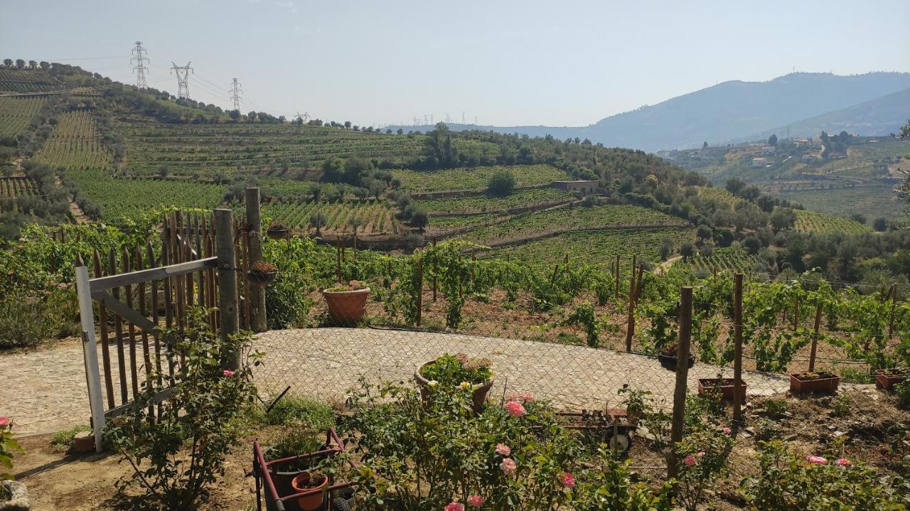 Quinta Dos Padrinhos - Suites In The Heart Of The Douro Lamego Luaran gambar