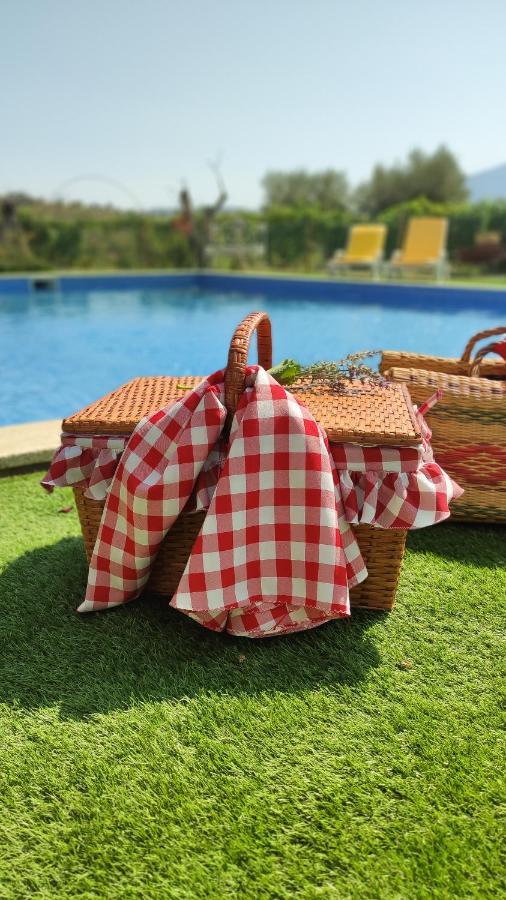 Quinta Dos Padrinhos - Suites In The Heart Of The Douro Lamego Luaran gambar